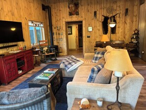 Smart TV, fireplace, books, music library