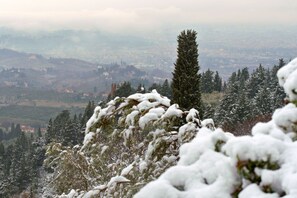 Exterior - Perched on a hill overlooking Florence. Absolute peace and quiet. (Bagno a Ripoli)