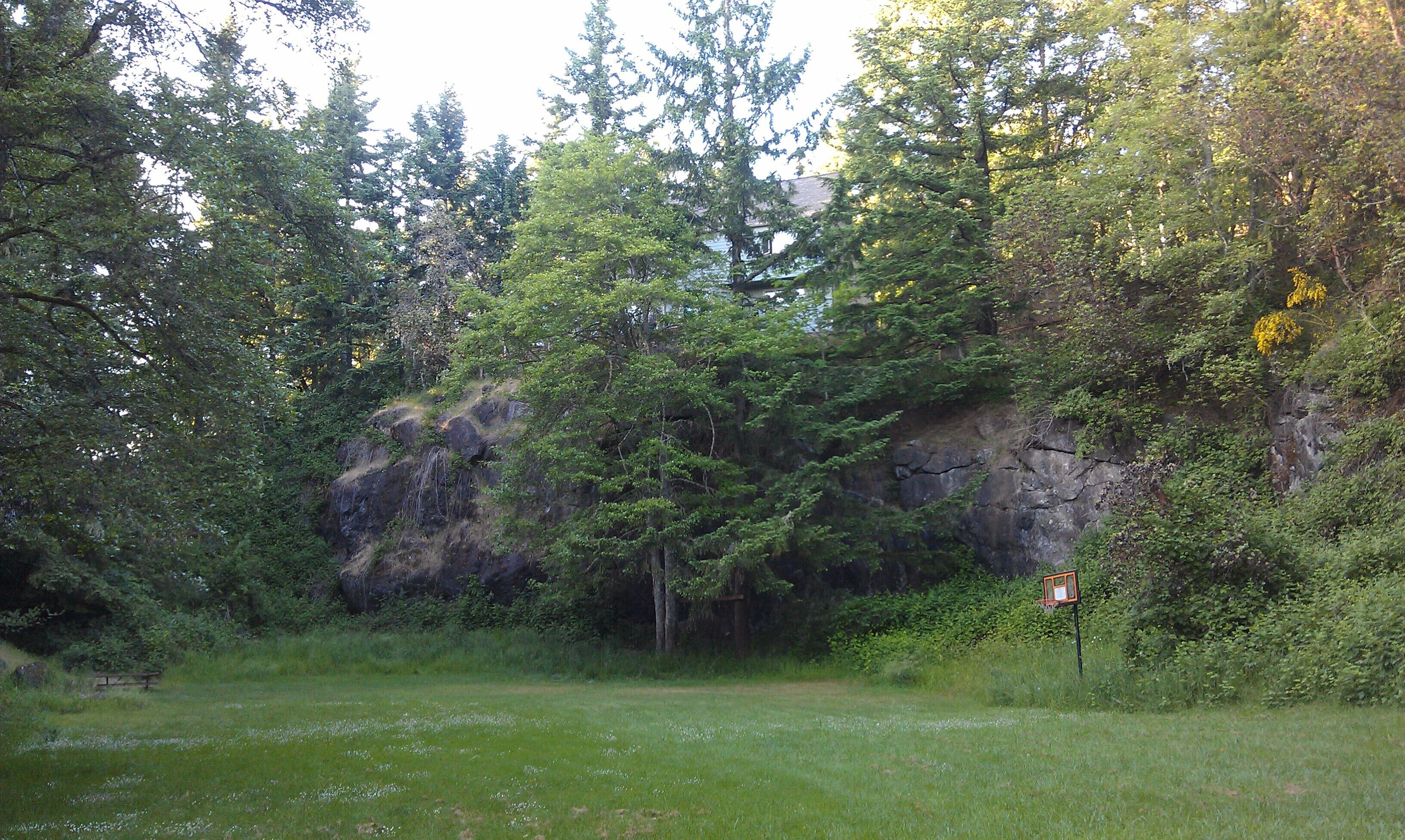 A natural landscape with a grassy field, dense trees, and a rocky cliff.