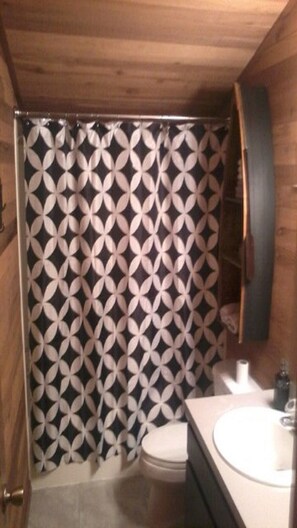 Combined shower/tub, hair dryer, towels