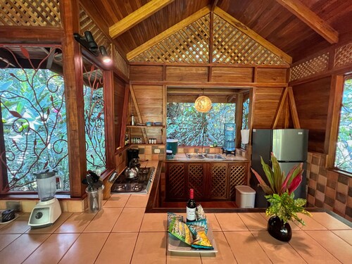 Authentic deluxe rainforest experience in a villa with private plunge pool
