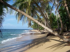 Plage à proximité, serviettes de plage