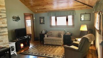 TV, fireplace, books