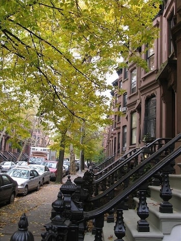 the neighborhood