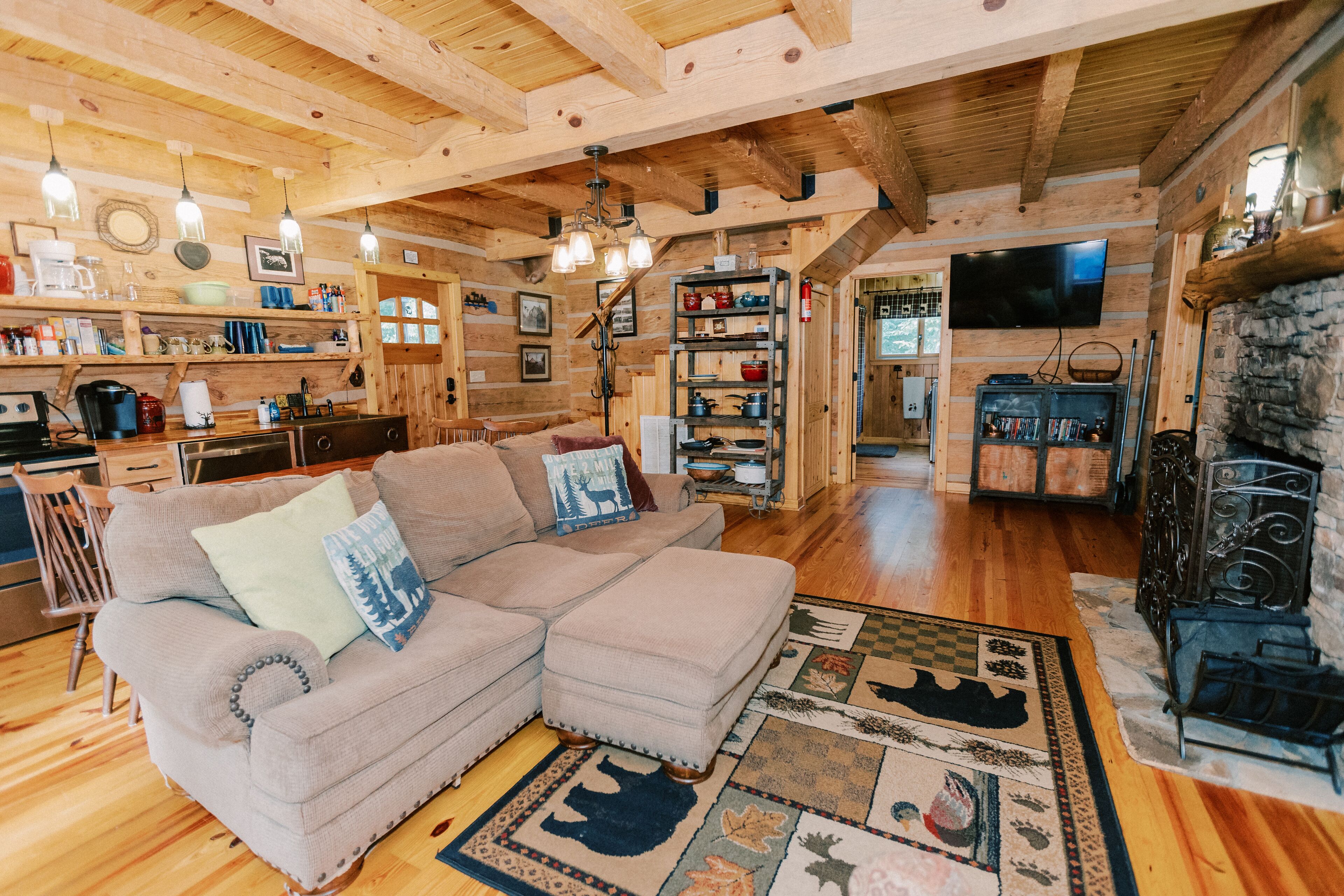 Smart TV, chimenea, reproductor de DVD y libros 