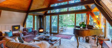 Televisio, takka, videopelejä, kirjoja