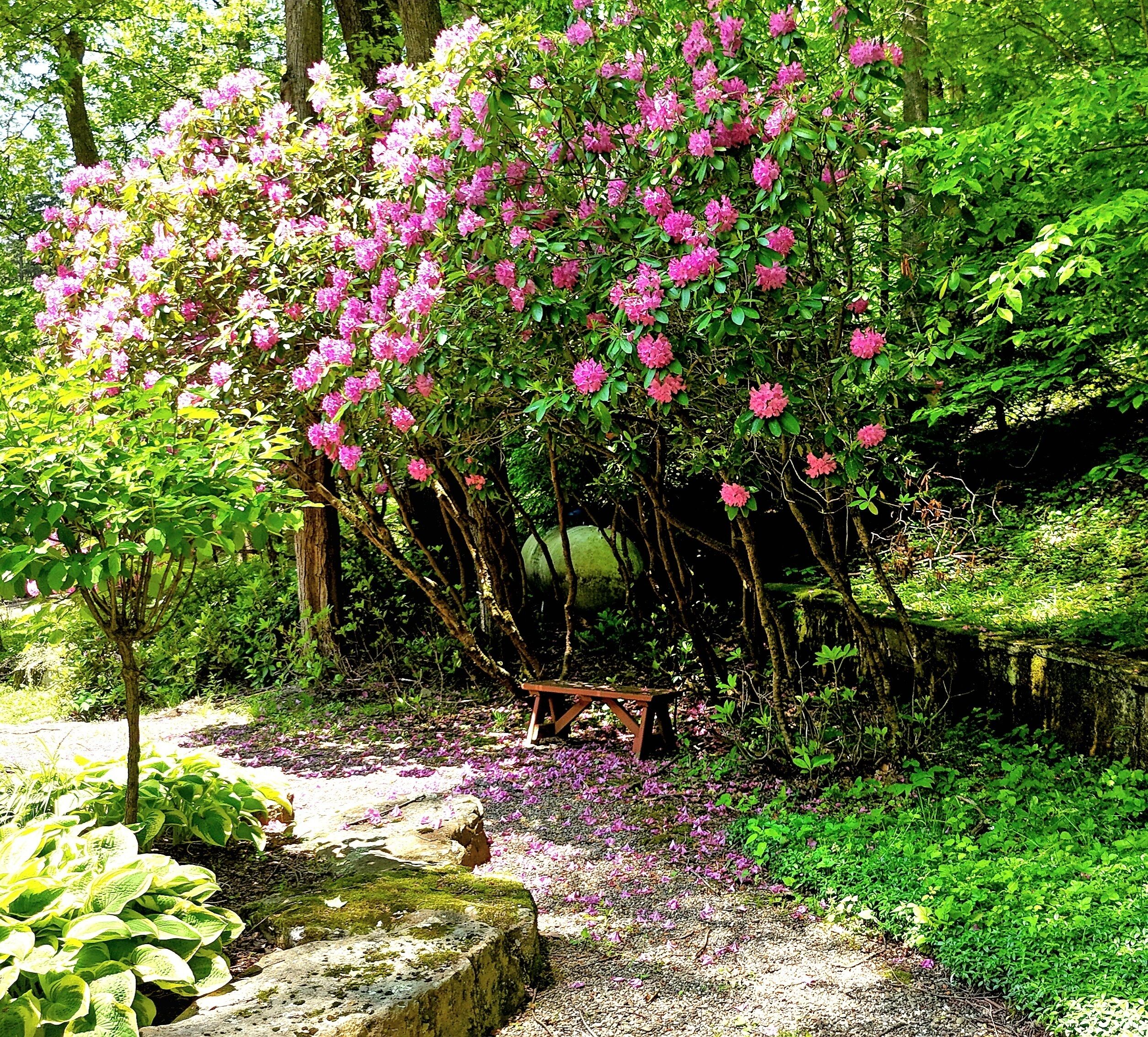 Jardines del alojamiento