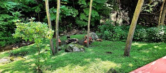 Fayette Springs--Creek House--Enjoy this Spacious Cottage!