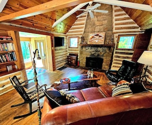 TV, fireplace, books
