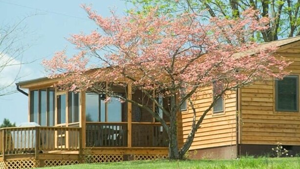 A wooden cabin with a deck, surrounded by a grassy area and a flowering tree.