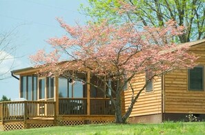 Una cabaña de madera con un porche, rodeada de césped y un árbol floreciente.