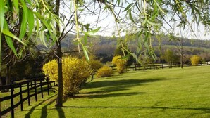 A grassy field with a wooden fence and trees.
