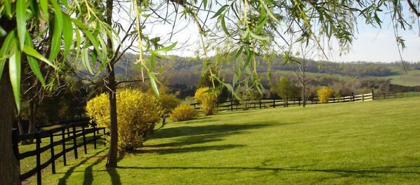 Un campo cubierto de hierba con una cerca de madera y árboles.