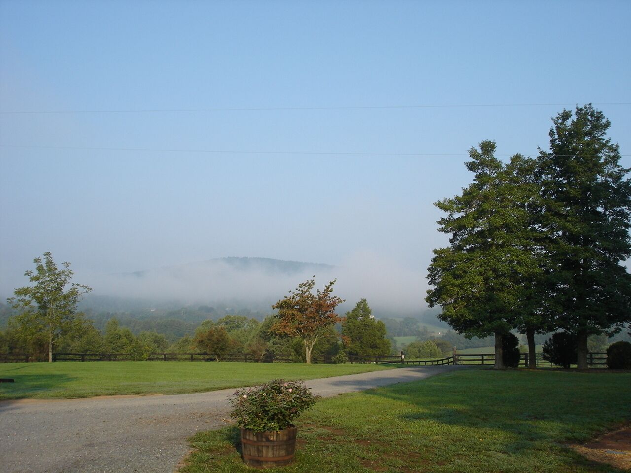 A rural road with a wooden fence, a large tree, and a field.