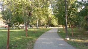 A paved pathway in a park with trees on both sides.