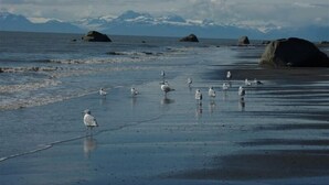A beach with seagulls and large rocks in the water. - Kenai Riverfront Cozy Studio (Soldotna)