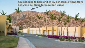A residential street with houses, palm trees, and a mountainous backdrop.