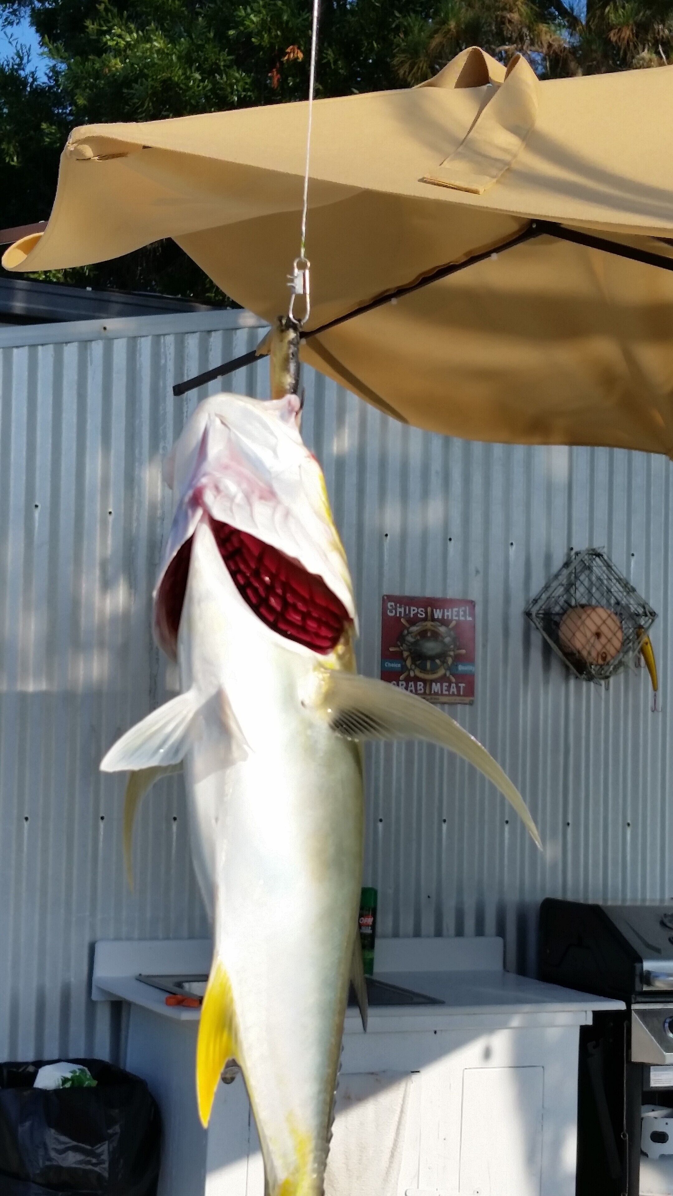 A large fish hanging from a hook, a sign reading "Ships Wheel Crab Meat", and a metal cage with a fish inside.