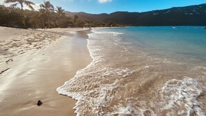 A beach with clear water, palm trees, and distant hills. - Ocean-View 3BR Villa for Families and Groups (St Thomas)
