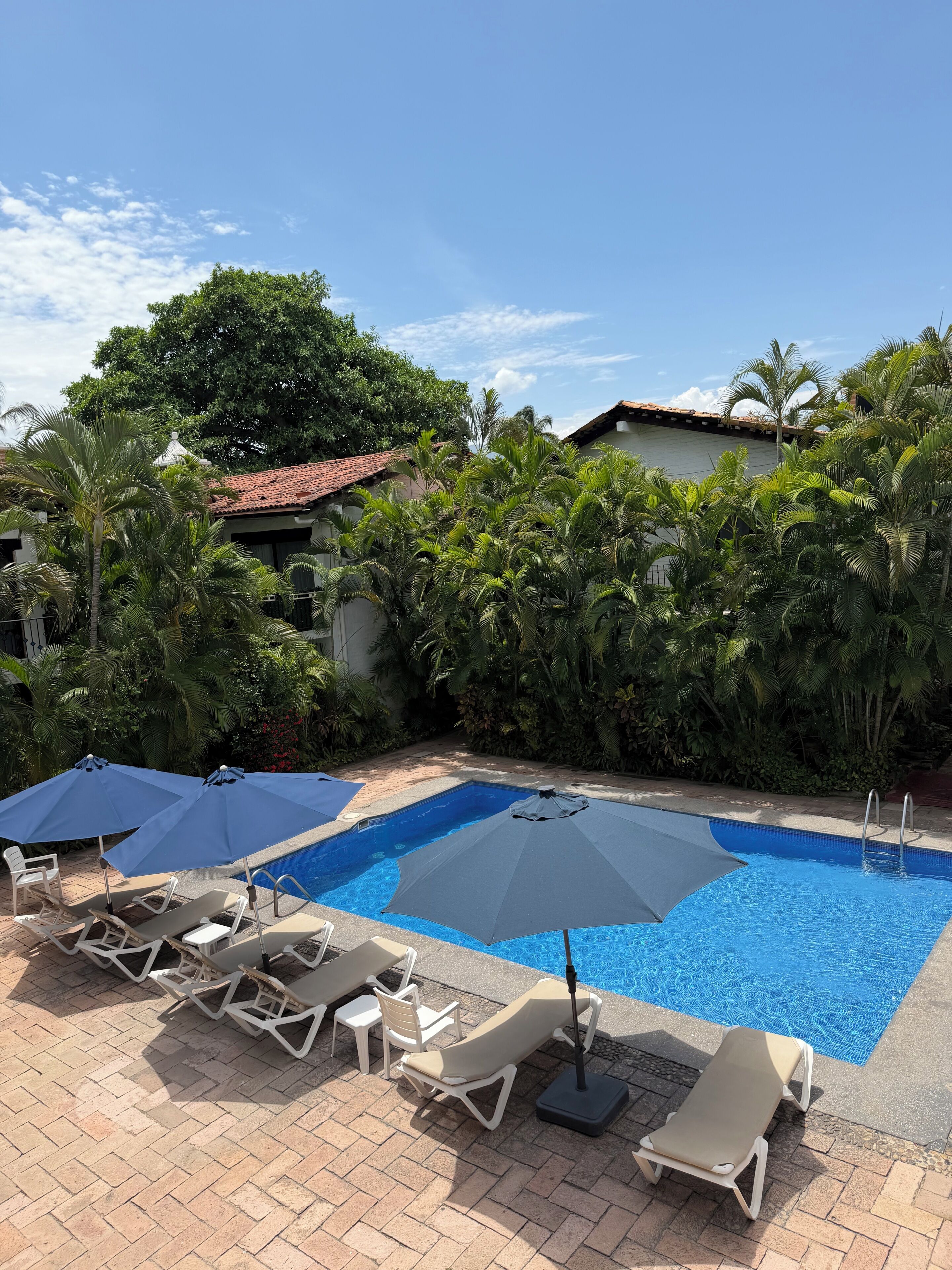 Piscine chauffée