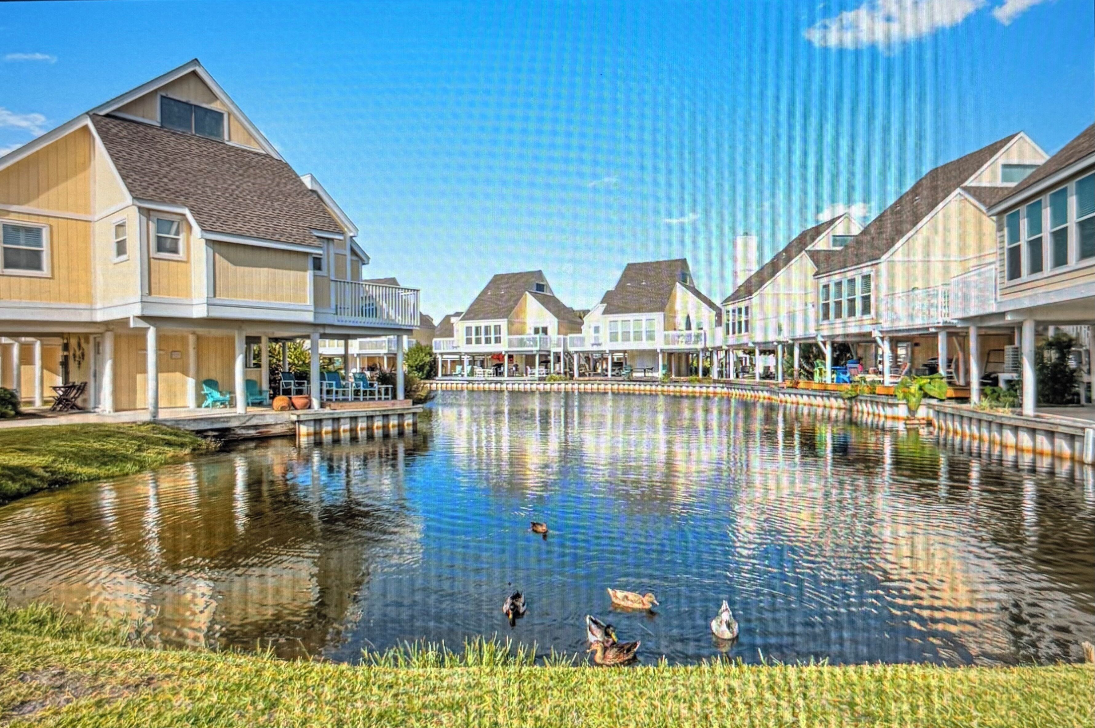 A waterfront property with a pond, houses, and a clear sky.