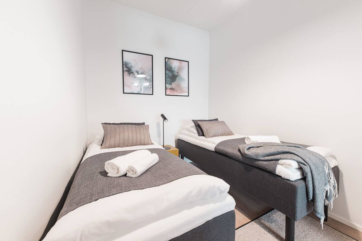 Een hotelkamer met twee eenpersoonsbedden, elk met een grijze deken en witte kussens. Twee ingelijste abstracte schilderijen hangen aan de muur.
