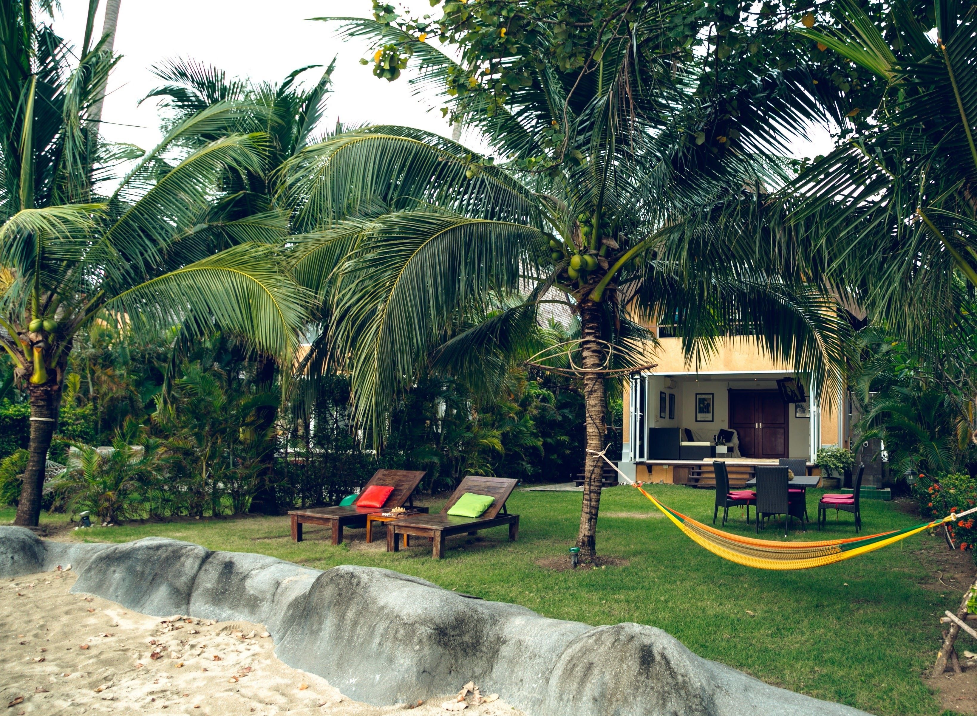 Un espace extérieur de style tropical, agrémenté de palmiers, d’un hamac et d’un petit bâtiment doté d’une terrasse.