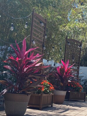 Overnattingsstedets uteområder