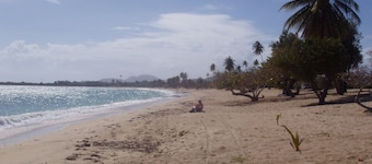 Oasis Tropical moderna en la propiedad!