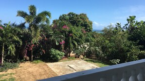 A garden with various trees and shrubs, a concrete pathway, and a view of the ocean. - Modern Oasis On Tropical (Vieques)