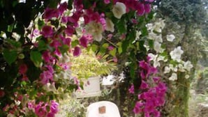 A pathway leading to a gated entrance with a white wall and a metal gate. - Casa Solana, Wonderful Large Outdoor Porch and many French Doors plus Pool (Sayulita)