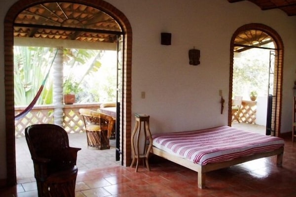 テラス / パティオ