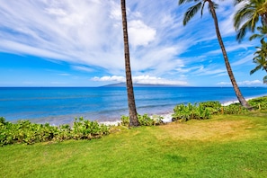 Beach towels - Charming 3 BR Puamana Oceanfront in private gated community (Lahaina)