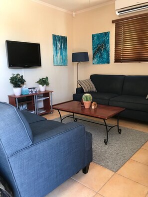 Smart TV, DVD player, books