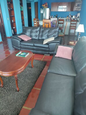 Smart TV, DVD player, books, video library -  Stunning ocean and one of Mazatlans top tourist attractions cliff divers view. (Mazatlán)