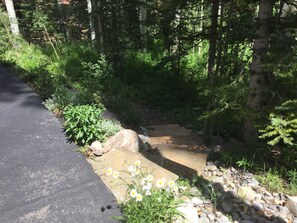 Terrain de l’hébergement