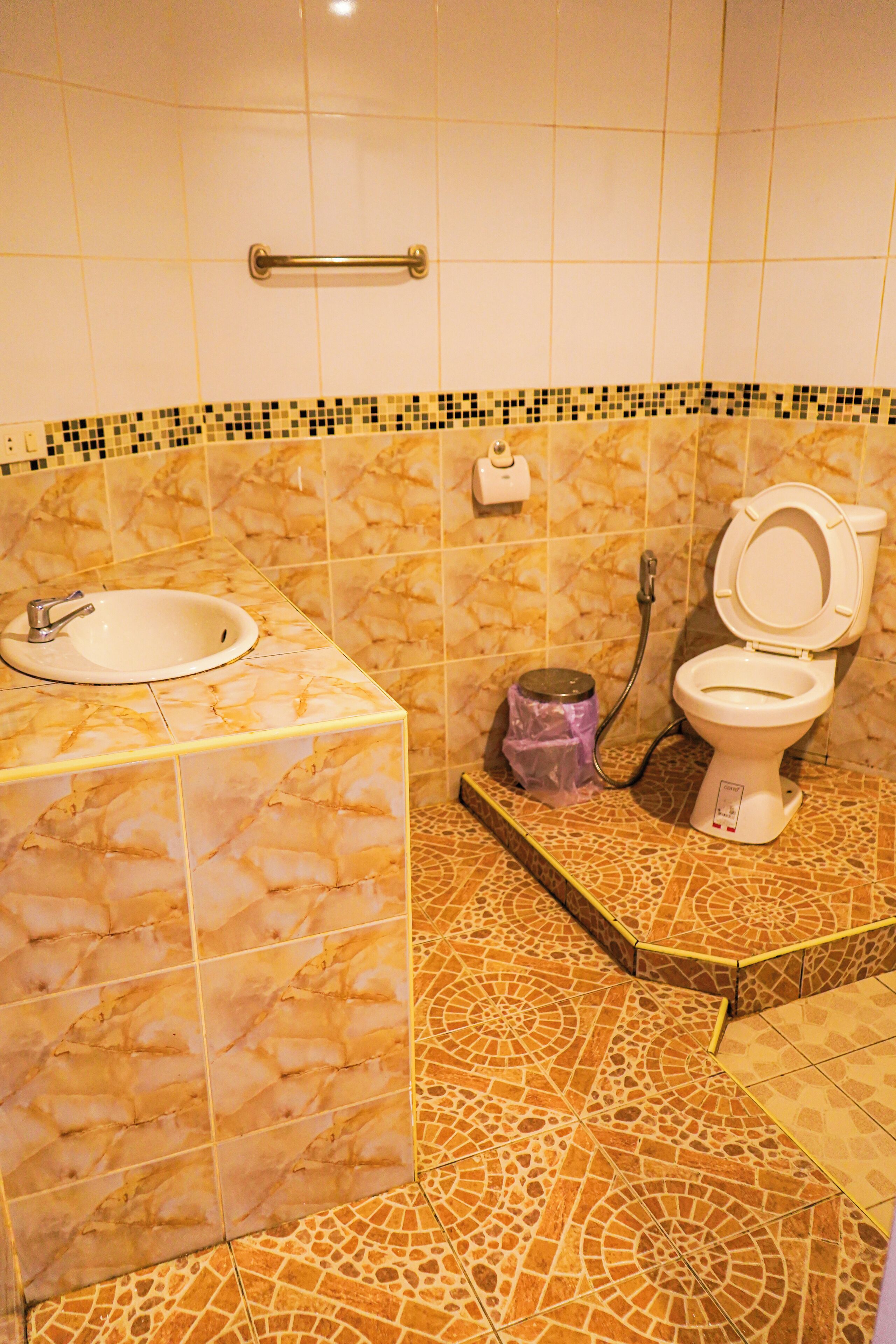 A bathroom with a sink, toilet, and a handrail.