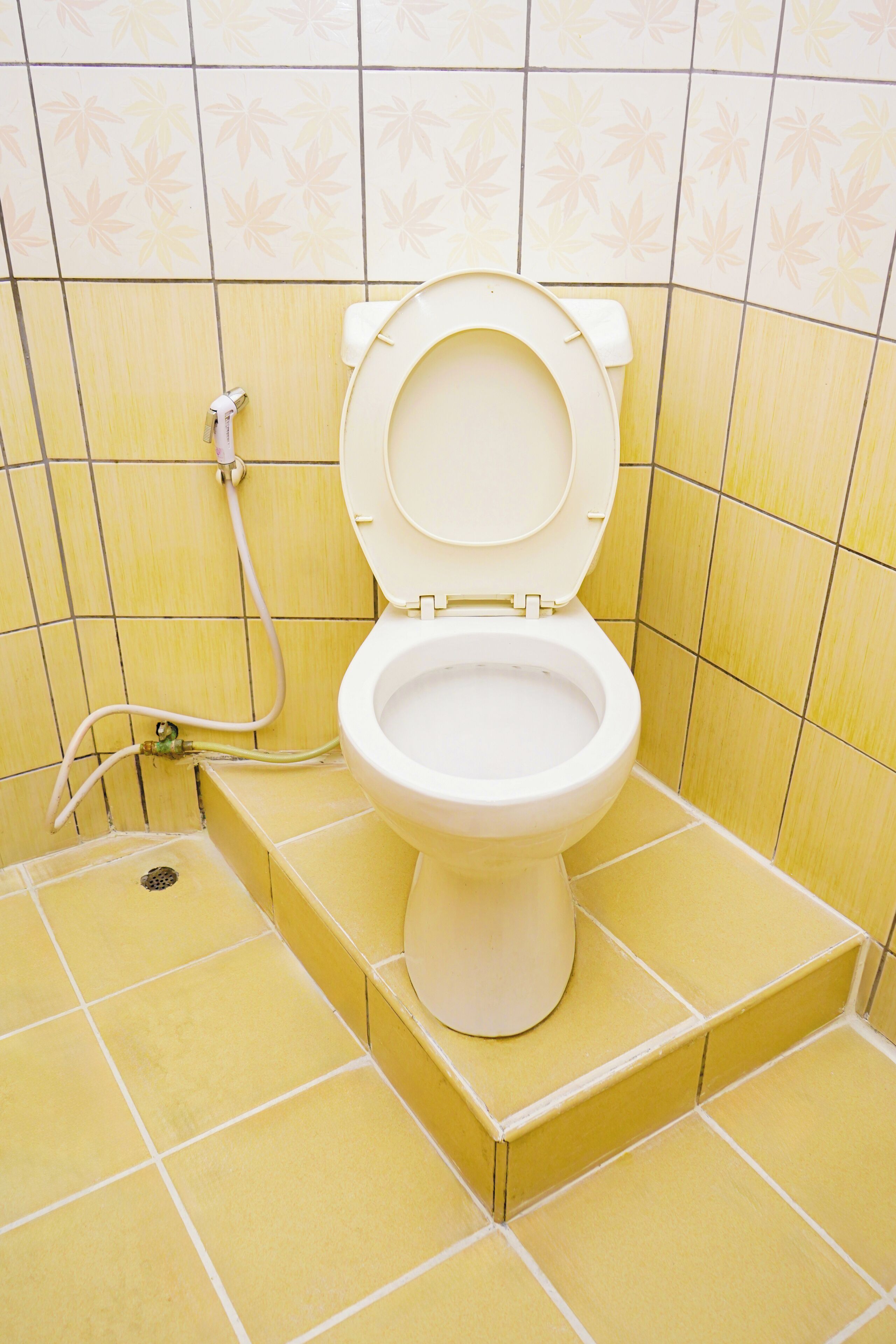 Foto - Marine paradise Encore