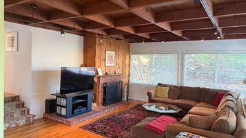 Smart TV, chimenea, reproductor de DVD y libros