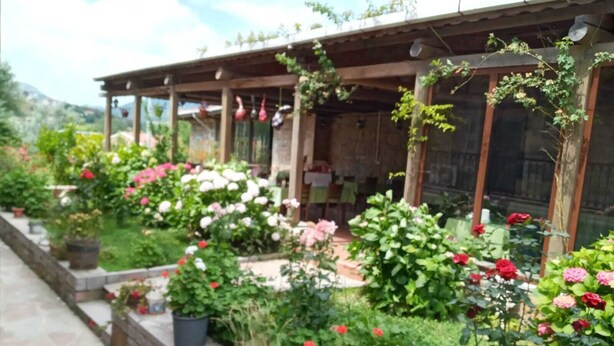 Un espacio al aire libre cubierto con plantas y flores en macetas, una estructura de madera y un camino de piedra.