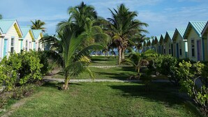A row of colorful beach cottages with a grassy pathway and palm trees. - Cabana with a pool and garden view (San Pedro)