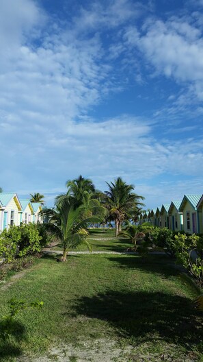 Property grounds - Cabana with a pool and garden view (San Pedro)