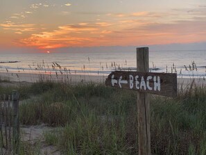 Ein Holzschild mit der Aufschrift 'BEACH', das zum Meer weist.