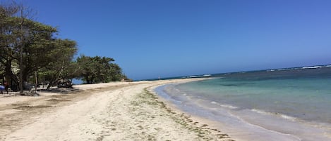 Nära stranden