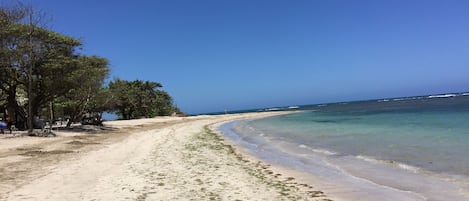 Playa en los alrededores 