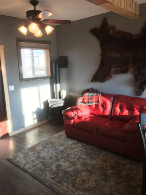 TV, fireplace, DVD player