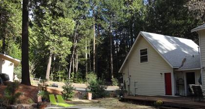 A Foresthill Retreat