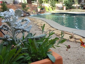 A lap pool
