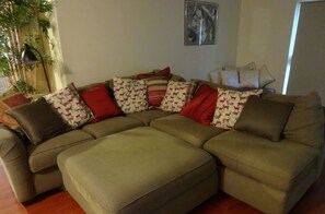 TV, fireplace, DVD player, books