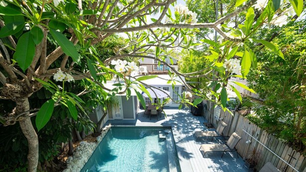 Une piscine rectangulaire avec une terrasse en bois, entourée d’une végétation luxuriante et d’une clôture en bois.